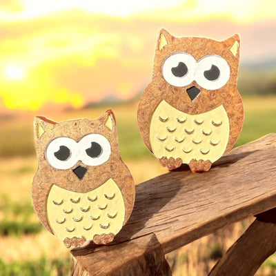 Owl Magnet Set-Authentically Radd Women's Online Boutique in Endwell, New York