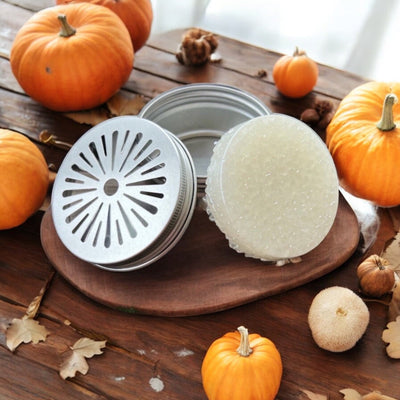 Fall Freshie Tin-Authentically Radd Women's Online Boutique in Endwell, New York