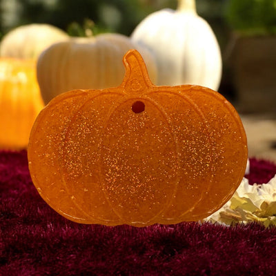 Assorted Medium Pumpkins-Authentically Radd Women's Online Boutique in Endwell, New York