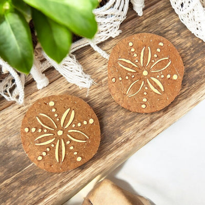 Sand Dollar Magnet Set-Authentically Radd Women's Online Boutique in Endwell, New York