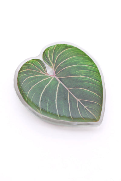 Plant Lover Phone Grip Tropical Leaf-Accessories-Authentically Radd Women's Online Boutique in Endwell, New York